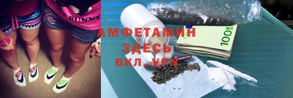 трава Бородино