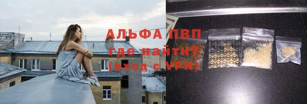 трава Бородино