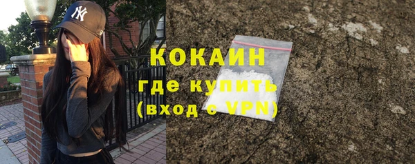 трава Бородино