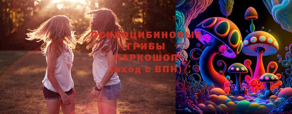 трава Бородино