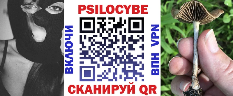 ссылка на мегу сайт  Томск  Галлюциногенные грибы Cubensis 